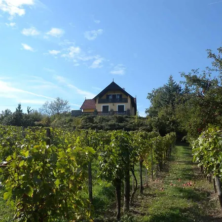 Apartment Badacsonytomaj/balaton 20245