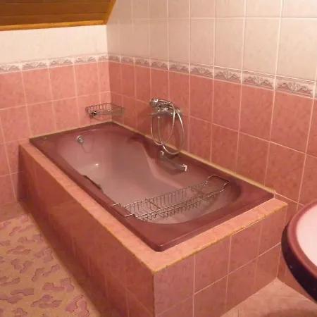 Apartment Badacsonytomaj/balaton 20245